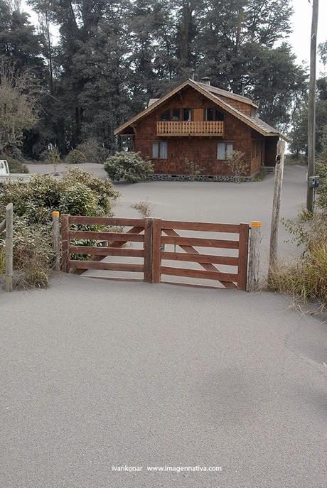 NATURALEZA: BELLEZA Y TRAGEDIA