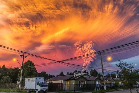 NATURALEZA: BELLEZA Y TRAGEDIA