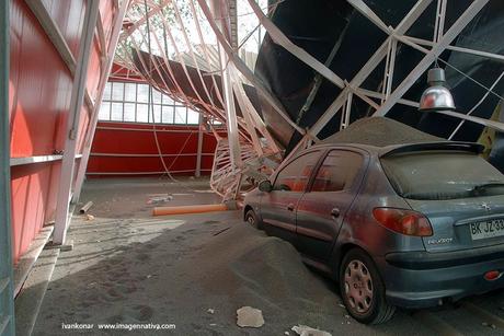 NATURALEZA: BELLEZA Y TRAGEDIA