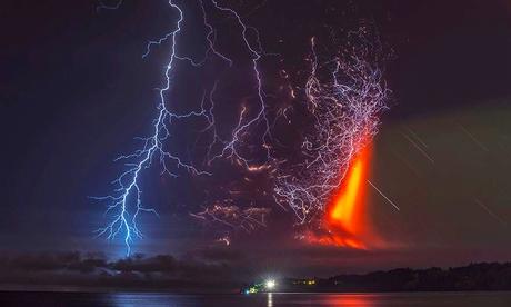 NATURALEZA: BELLEZA Y TRAGEDIA