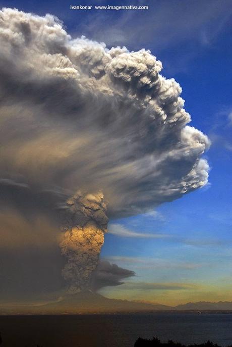 NATURALEZA: BELLEZA Y TRAGEDIA