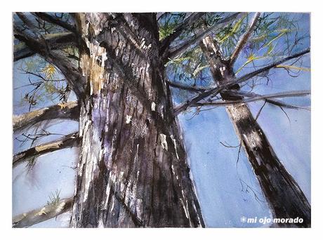 Fabriano in Acquarello 2015 Fabriano in Acquarello 2015