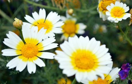 Outfit | My paradise Outfit | My paradise