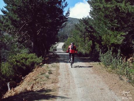 HOY COMPARTIMOS... CALLES, CAMINOS, CARRETERAS