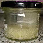 Hacer Gel de Aloe Vera casero y ecológico