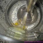 Hacer Gel de Aloe Vera casero y ecológico