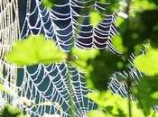 Crear Estructurar Promocionar Negocio