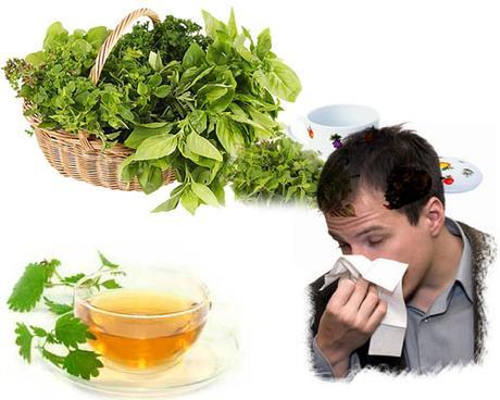 remedio-alergia-casero