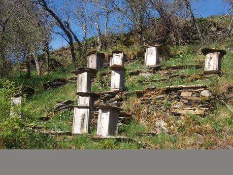 PEÑALBA DE SANTIAGO