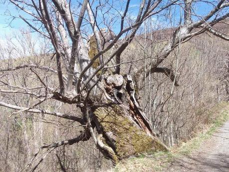 PEÑALBA DE SANTIAGO