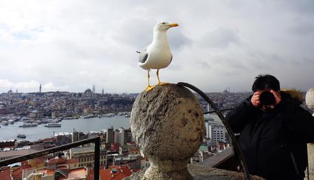 ESTAMBUL   SEGUNDO   DÍA