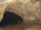 Nueva especie escorpión cueva Vietnam