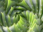 Matemáticas Geometría espacio.