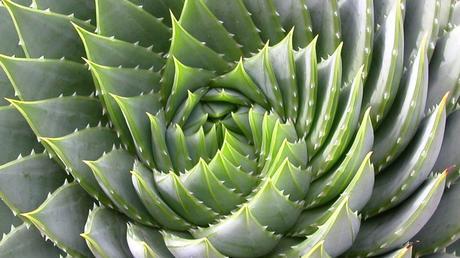 Matemáticas II. Geometría en el espacio.