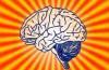 Conservar y proteger al cerebro: ¿Por qué? ¿Cómo? Obesidad y alzheimer, un extraño vínculo