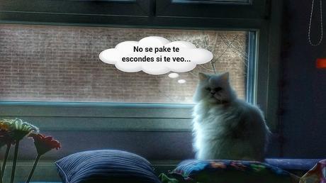 Estamos tan Agustito XCII. No te escondas #funny estamos tan agustito