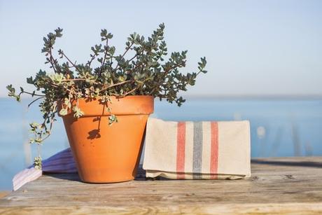 Argot&Margot, primavera verano 2015