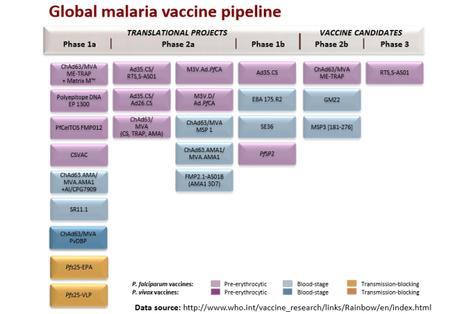 Invertir en el futuro, vencer la malaria Tabla Arcoiris de proyectos de vacunas contra la malaria, en distintas fases