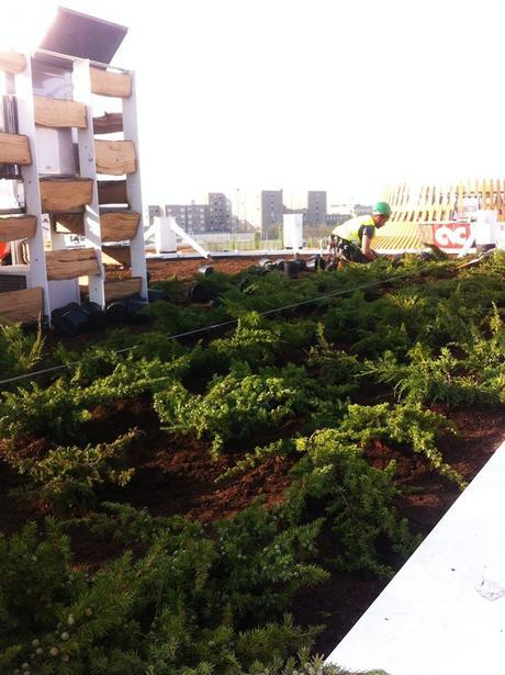 MOT-045-Pabellon de Uruguay en EXPO Milan 2015-11