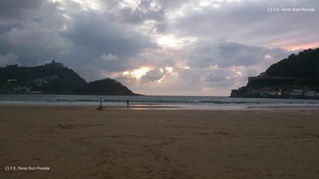 CUANDO LOS GATOS SE PINTAN DE PARDO CUANDO LOS GATOS SE PINTAN DE PARDO