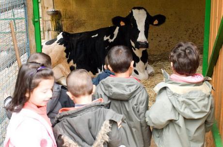 Actividades de verano para niños 2015