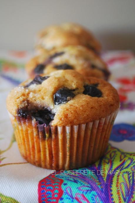 MAGDALENAS DE ARANDANOS