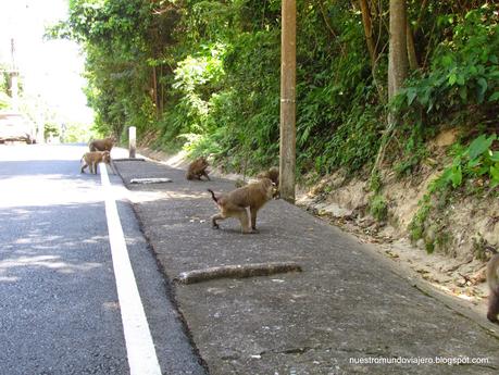 Phuket; la isla más bulliciosa de Tailandia