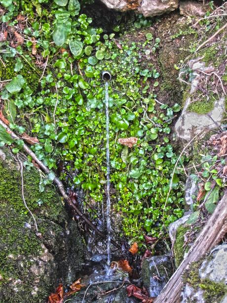 PICO LA MUA (INVERNAL) TRAVESÍA DE FRAYNOQUISO A FUENSANTA