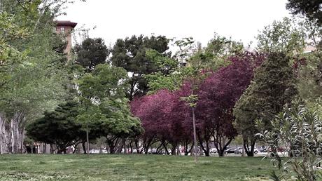 Espacio verde urbano en  Zaragoza - Vuelve la primavera