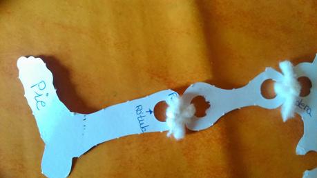 Aprender los huesos del cuerpo humano