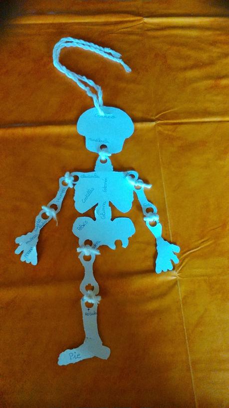 Aprender los huesos del cuerpo humano