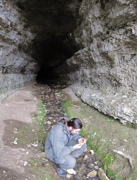 Interesante artículo sobre Anfípodos subterráneos