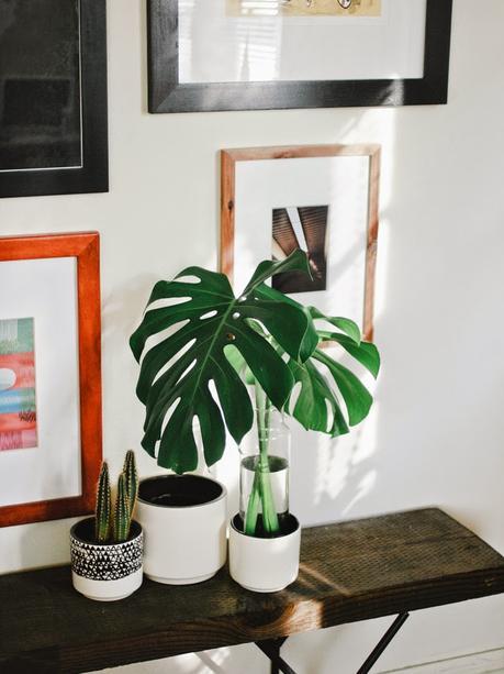 La Butaca... La Costilla de Adán en el centro de tu hogar La Butaca... La Costilla de Adán en el centro de tu hogar