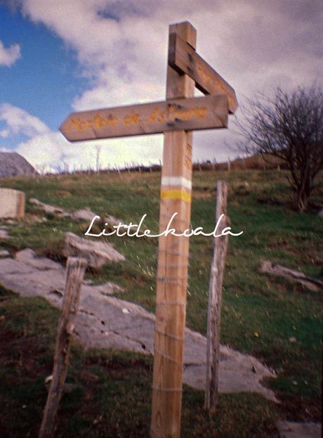 Hoy compartimos: caminos