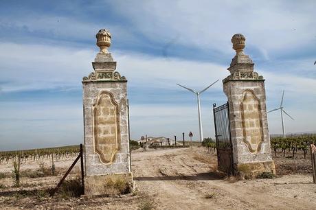 Paseando por los viñedos de Jerez