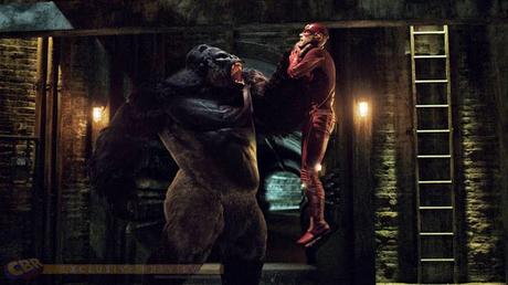 Este Grodd  es una monada, FLASH.