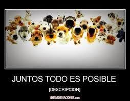TODO ES POSIBLE