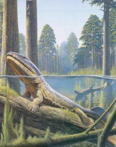 http://animal-kid.com/devonian-period-animals.html