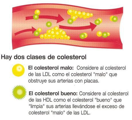 Colesterol-LDL