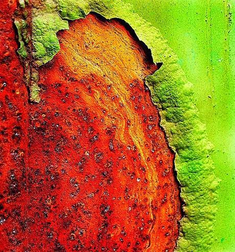 Decoraciones a dos colores, una tendencia deco para nuestras casas