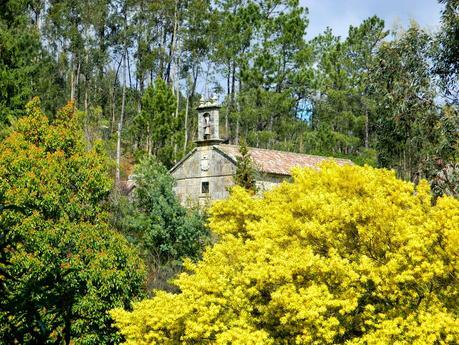 El jardín de La Saleta en Primavera, del 1 al 30 de abril de 2015. Saleta's Garden in spring, April 1-30, 2015.