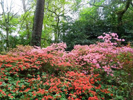 El jardín de La Saleta en Primavera, del 1 al 30 de abril de 2015. Saleta's Garden in spring, April 1-30, 2015.