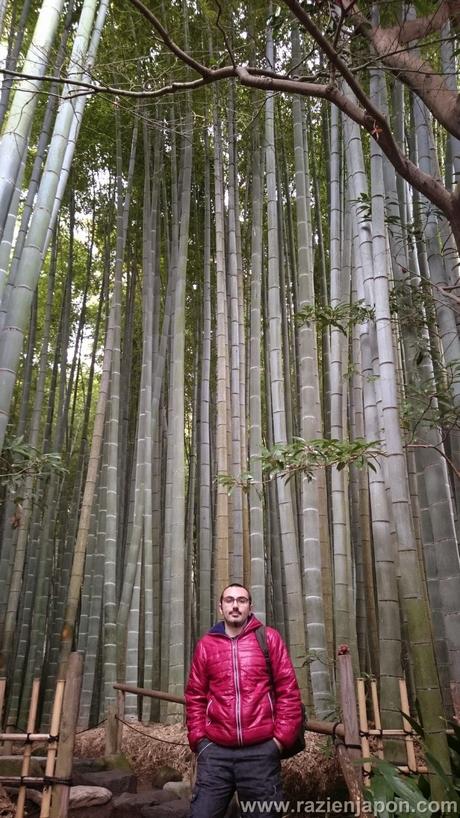 El Templo HOKOKUJI en Kamakura (Bosque de bambú)