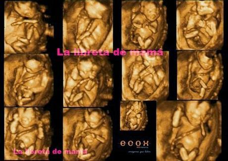 ¿Niño o niña? Y viene con sorteo... ¿Niño o niña? Y viene con sorteo...