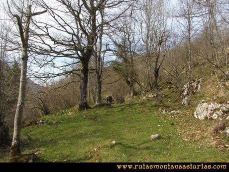 Ruta Puente Vidosa, Jucantu: Zona herbosa de Baeno Ruta Puente Vidosa, Jucantu: Zona herbosa de Baeno