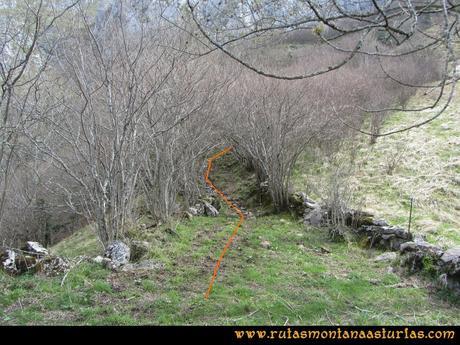 Ruta Puente Vidosa, Jucantu: Colladina Ruta Puente Vidosa, Jucantu: Colladina