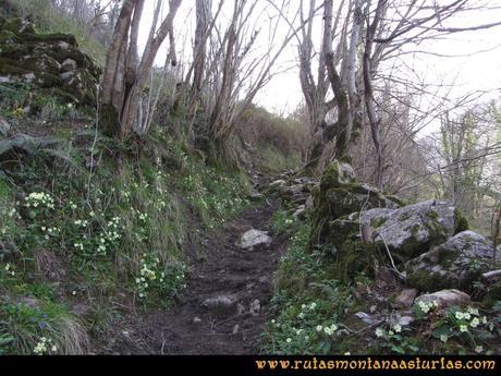Ruta Puente Vidosa, Jucantu: Sendero a Rubriellos Ruta Puente Vidosa, Jucantu: Sendero a Rubriellos
