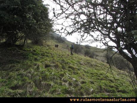 Ruta Puente Vidosa, Jucantu: Atravesando praderas para ir a Derrabao Ruta Puente Vidosa, Jucantu: Atravesando praderas para ir a Derrabao