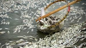 Resultado de imagen de china contaminación