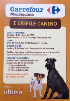 desfile canino